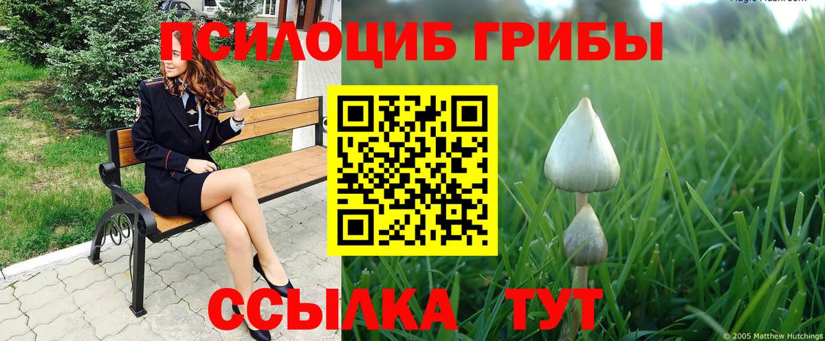 Калининград  Псилоцибиновые грибы Psilocybe  Псилоцибиновые грибы Psilocybine cubensis  Вход с VPN 